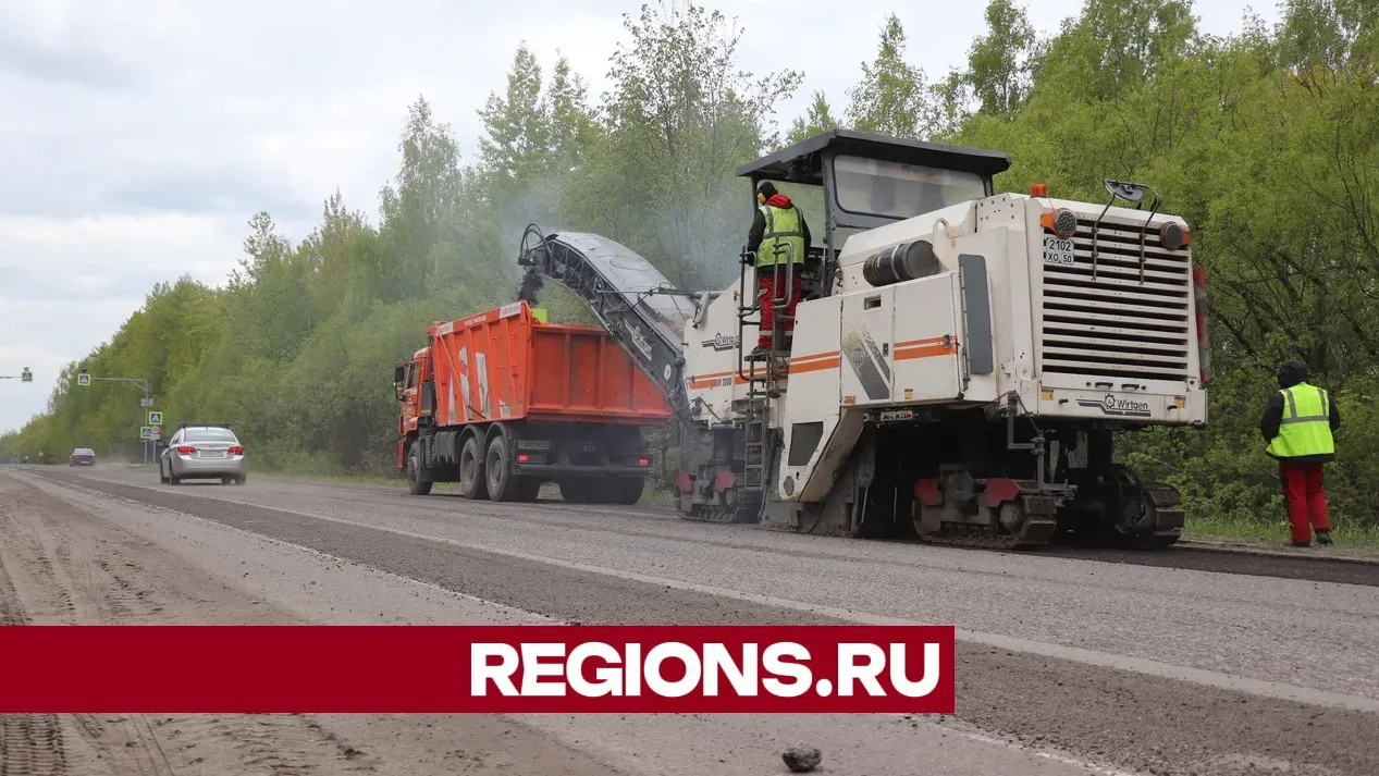 Фото: Regions / Василий Тремасов