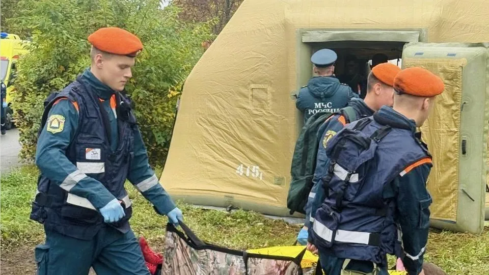 Фото: пресс-служба администрации г.о. Химки