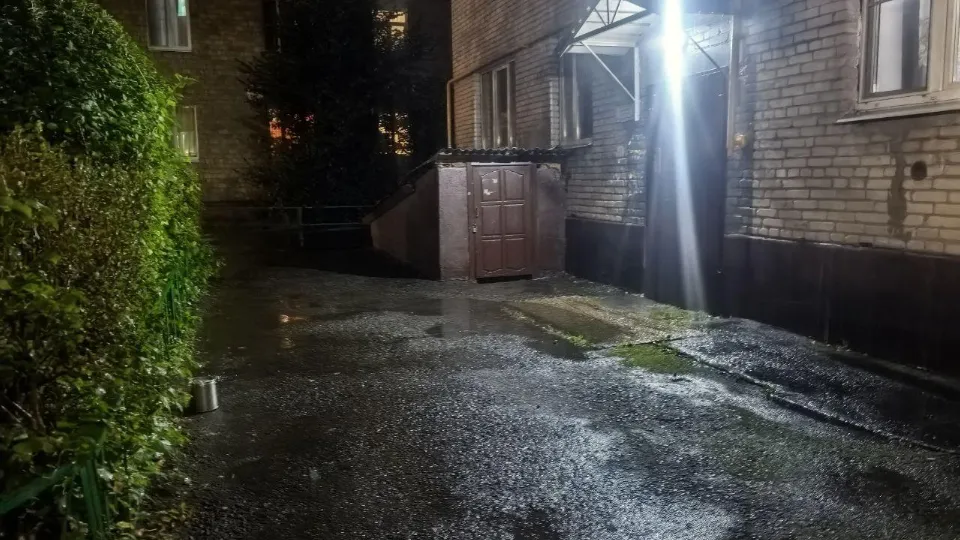 Фото: пресс-служба администрации Богородского городского округа