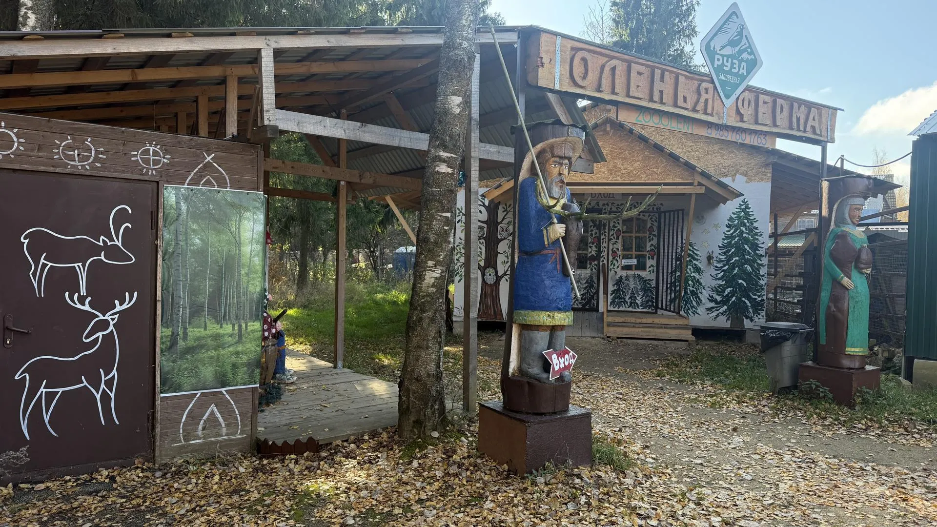Картинка