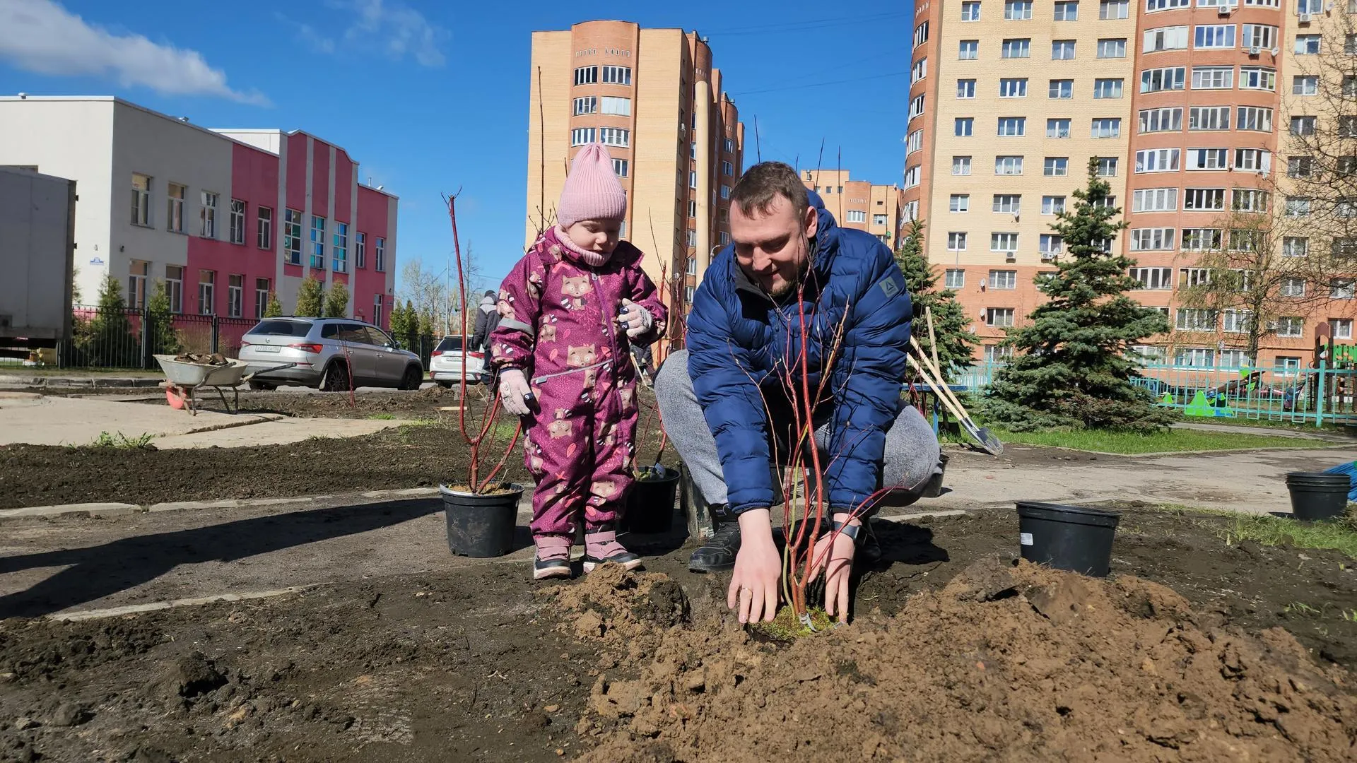 Картинка