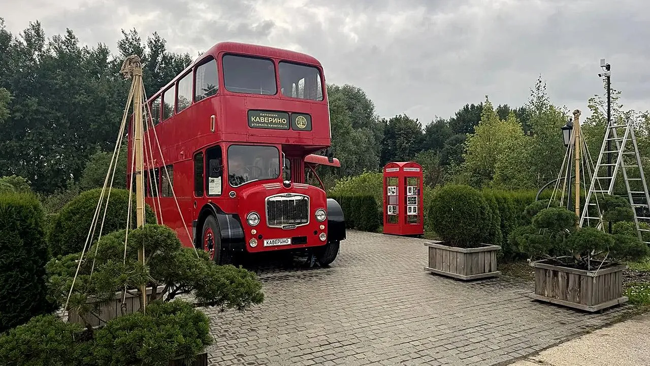 Картинка