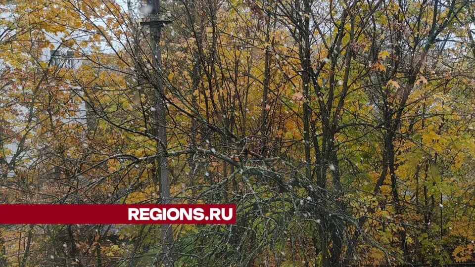 Фото: Иван Федулов