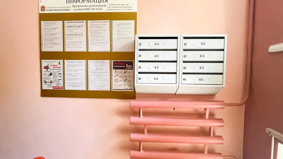 Фото: администрация городского округа Люберцы