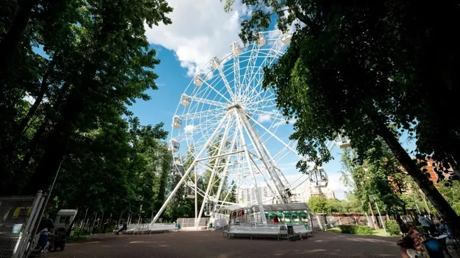 Картинка