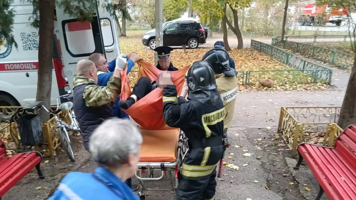 Картинка
