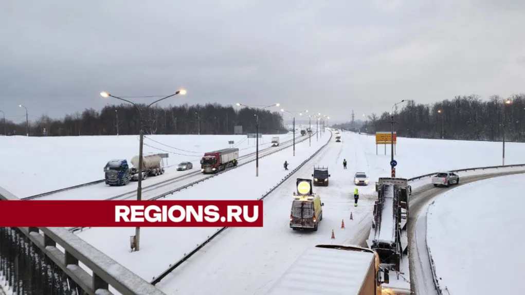 Фото: Андрей Семибратов