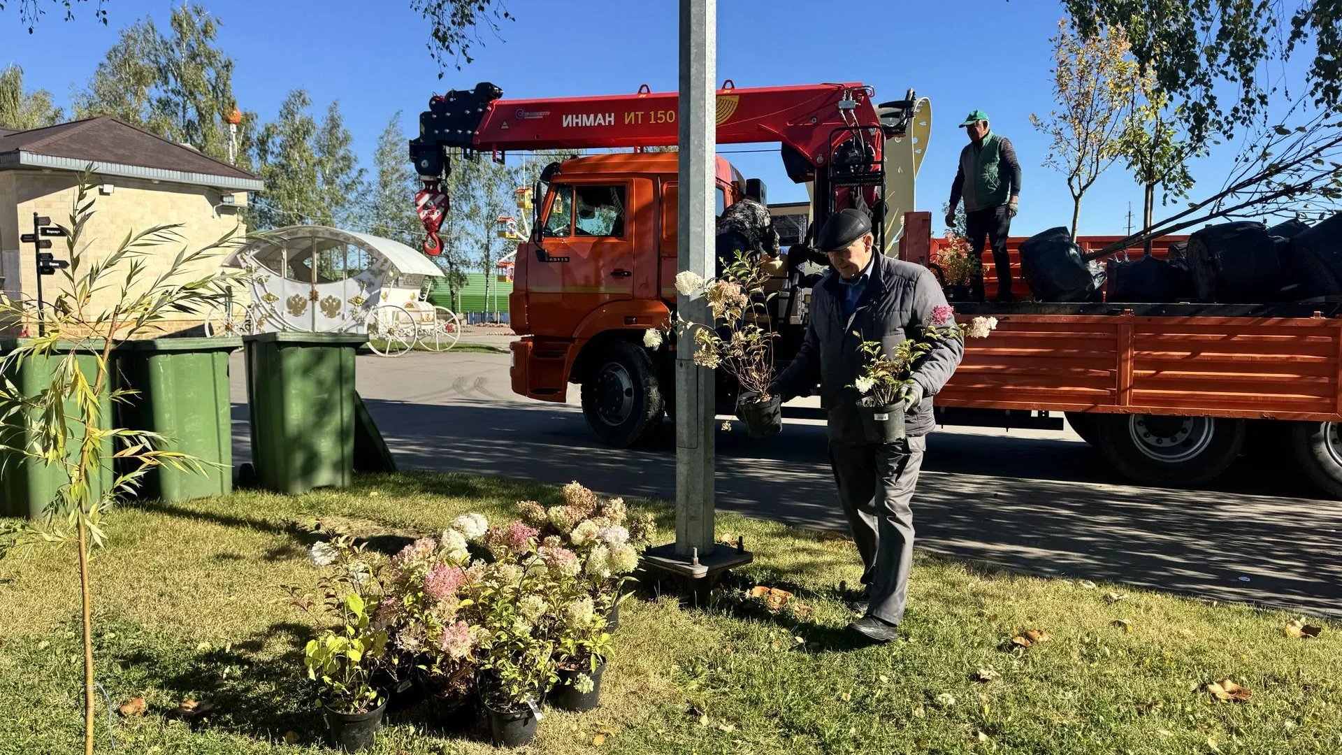 Картинка
