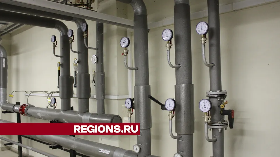 Фото: REGIONS/Юлия Алабина