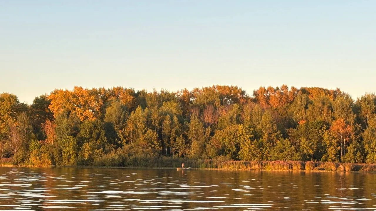 Фото: REGIONS/Алена Мельникова