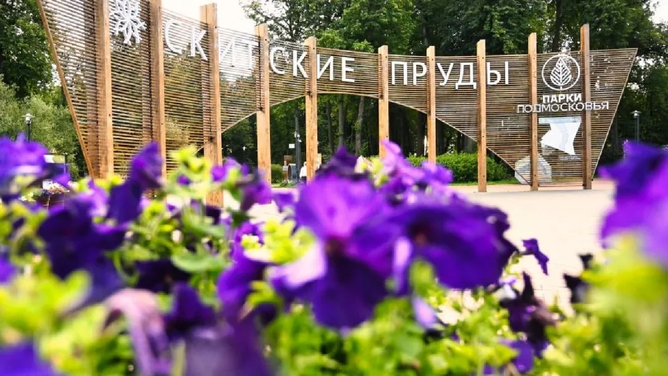 Фото: МедиаБанк Подмосковья/Дмитрий Зайчиков