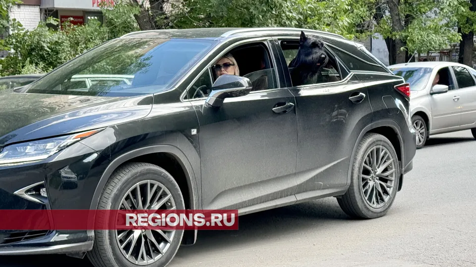 Фото: Александр Легкий<br>