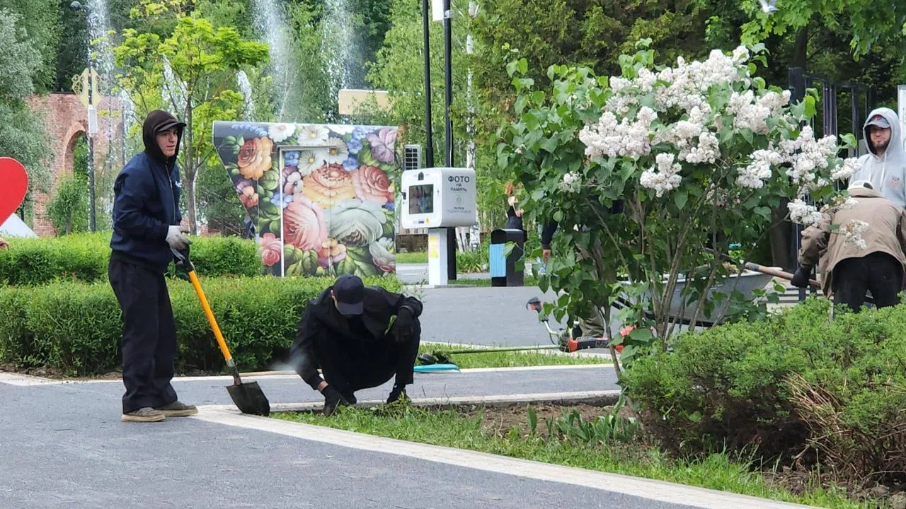 Картинка