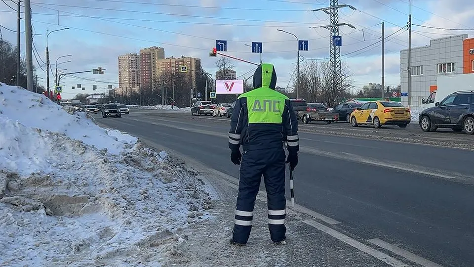 Фото: МедиаБанк Подмосковья/Евгения Герасимова