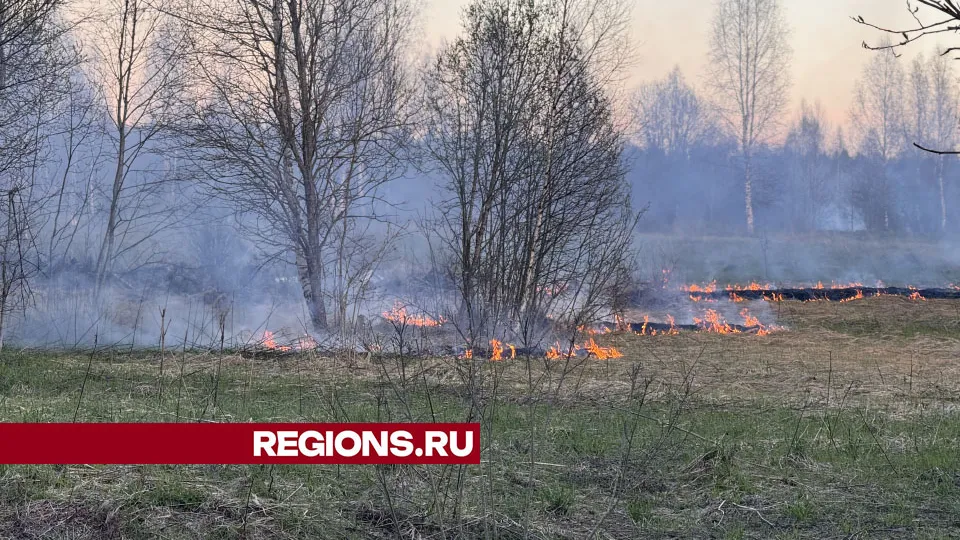 Фото: МедиаБанк Подмосковья/Татьяна Рунова