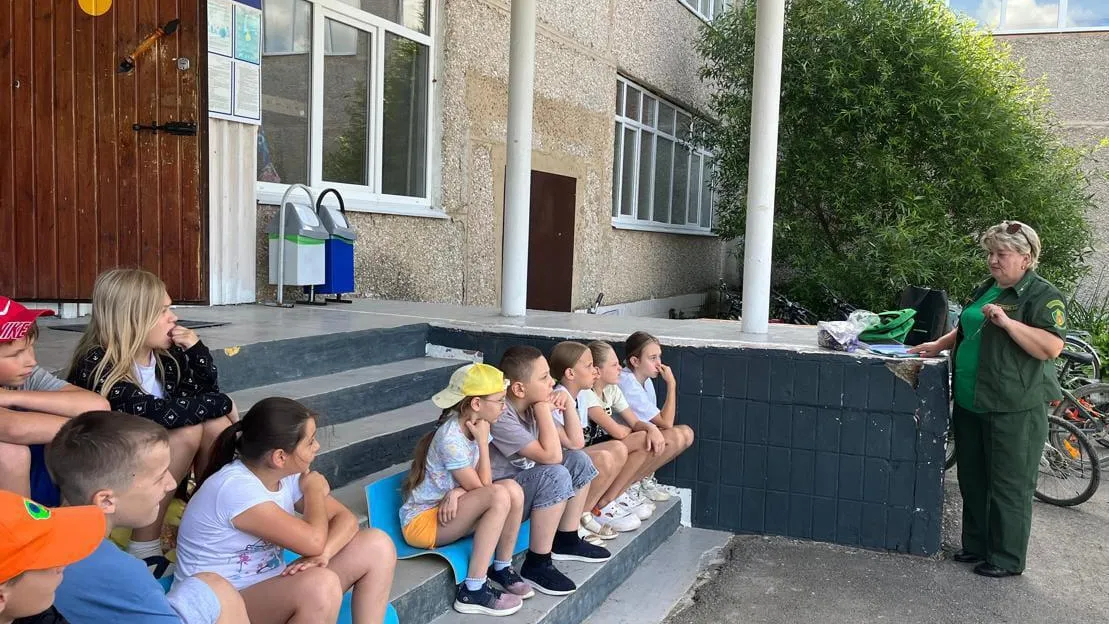 Фото: Комитет лесного хозяйства Московской области