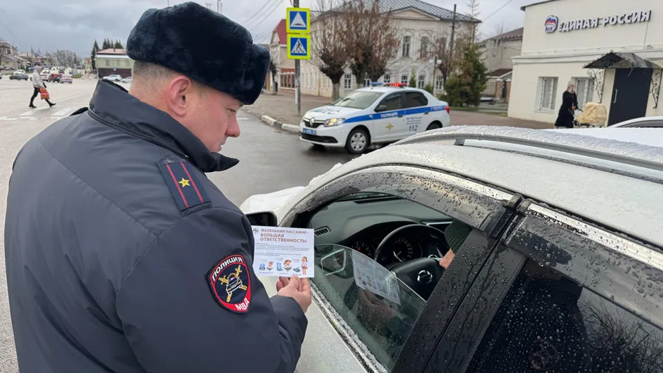Фото: Госавтоинспекция МУ МВД России «Щелковское»&nbsp;