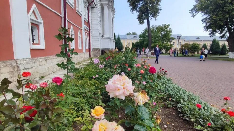 Картинка