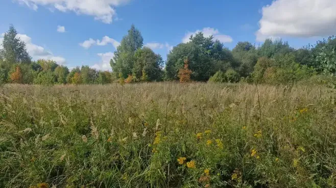 Участок на торгах в Подмосковье