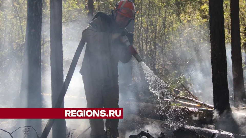 Фото: REGIONS/Василий Тремасов