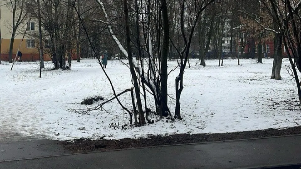 Фото: администрация г.о. Лосино-Петровский