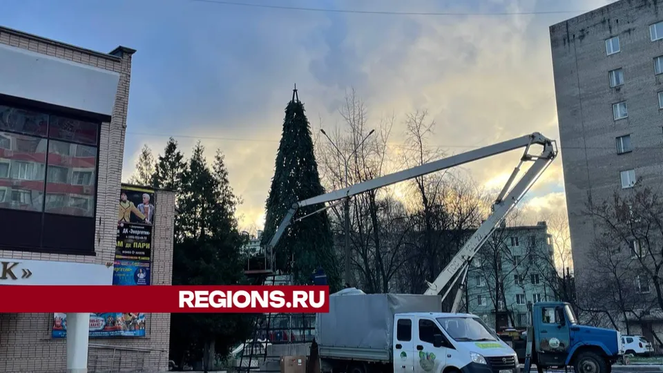 Фото: Марат Алиев