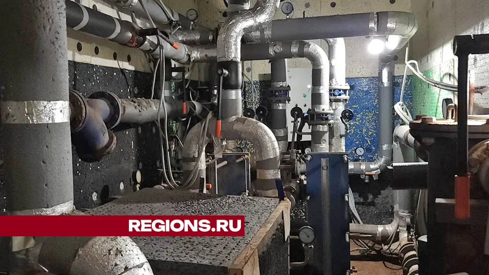 Фото: Валерия Тингаева