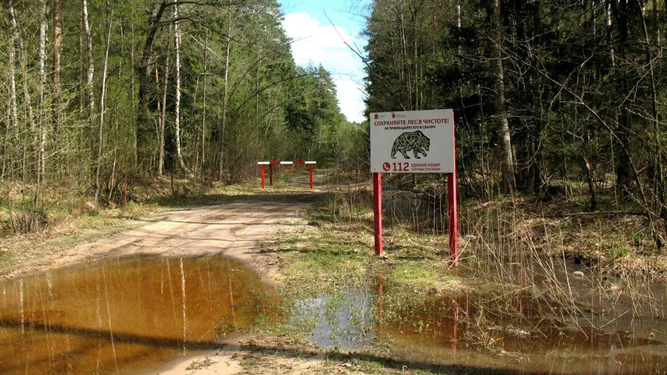 Фото: Комитет лесного хозяйства Московской области