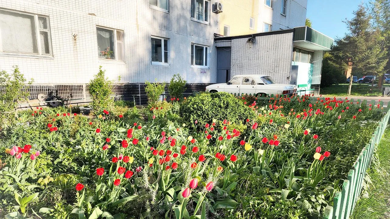 Картинка