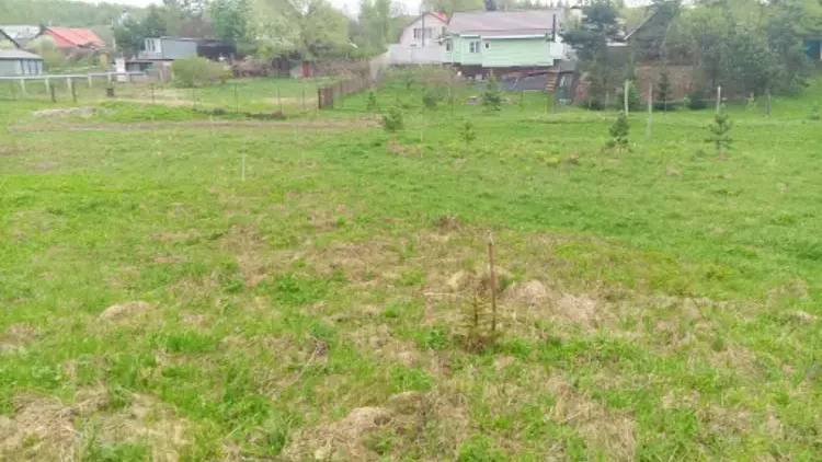 Участок на торгах в Чехове