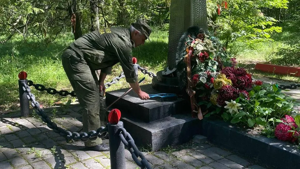 Фото: Комитет лесного хозяйства Московской области