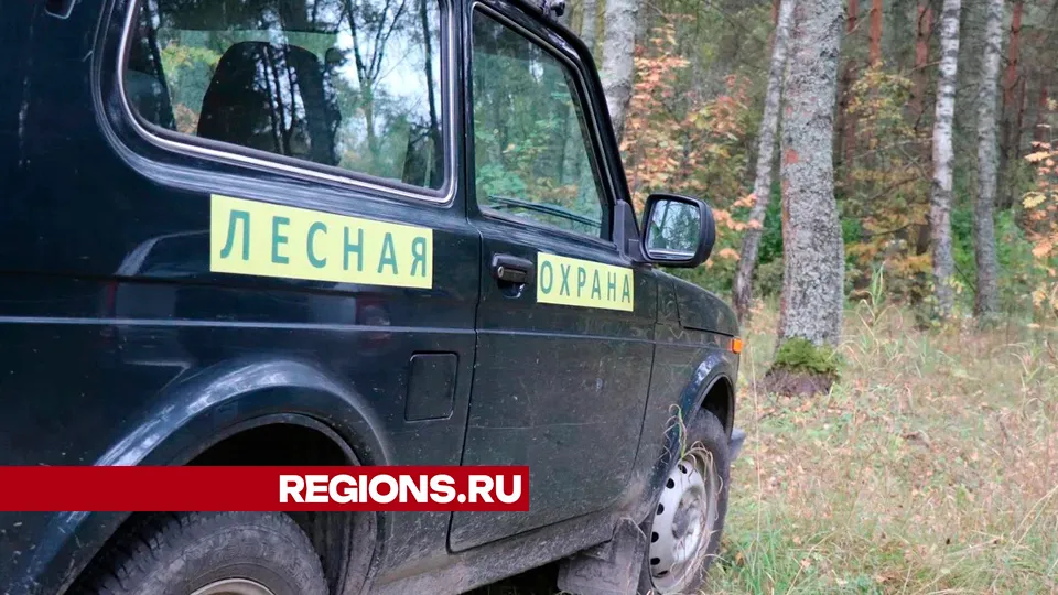 Фото: REGIONS/Василий Тремасов
