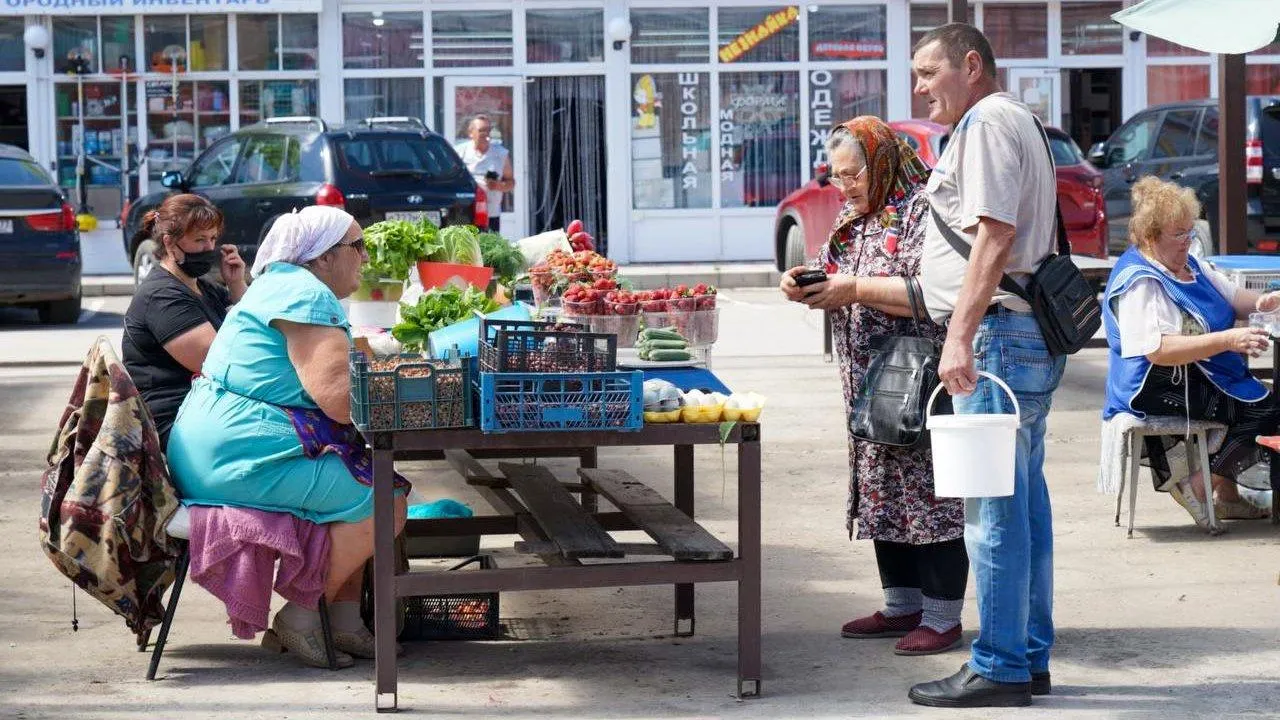 Налог платить не нужно: эксперт объяснил, как дачникам Подмосковья легально реализовывать излишки урожая