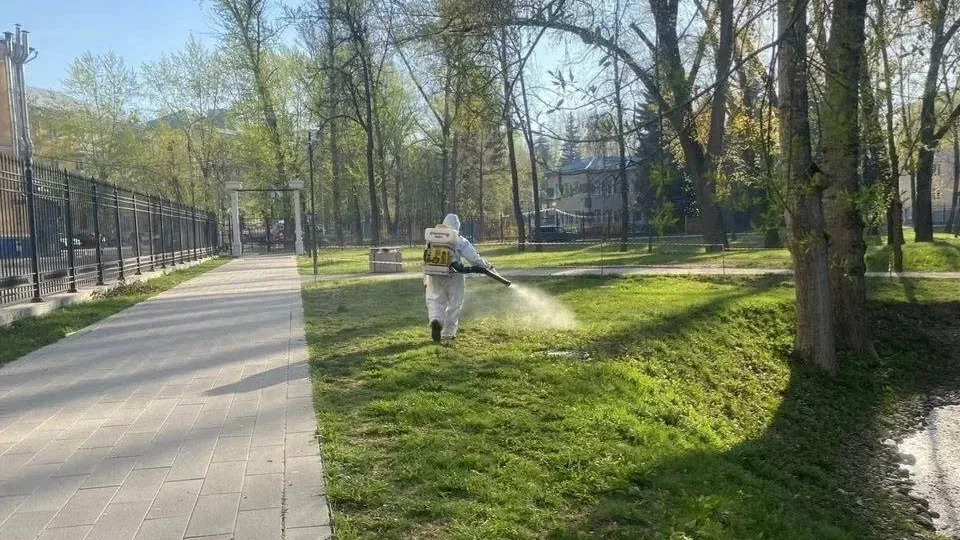 Фото: пресс-служба Министерства благоустройства Московской области