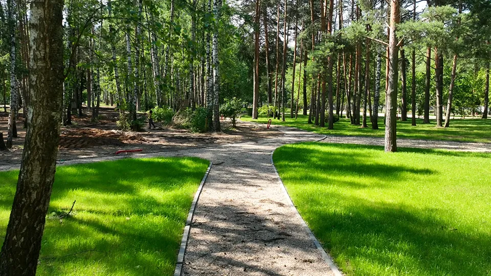 Летний парк Малаховка. Фото: пресс-служба губернатора и правительства Московской области