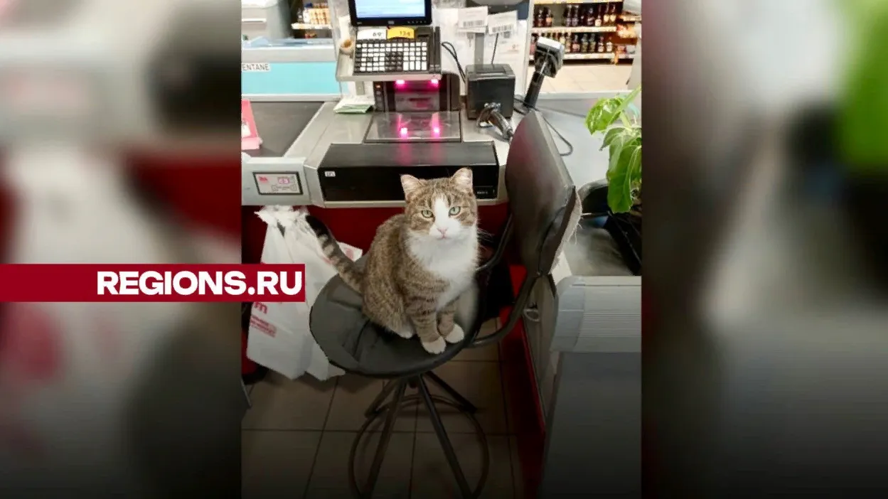 Фото: Татьяна Бачурина