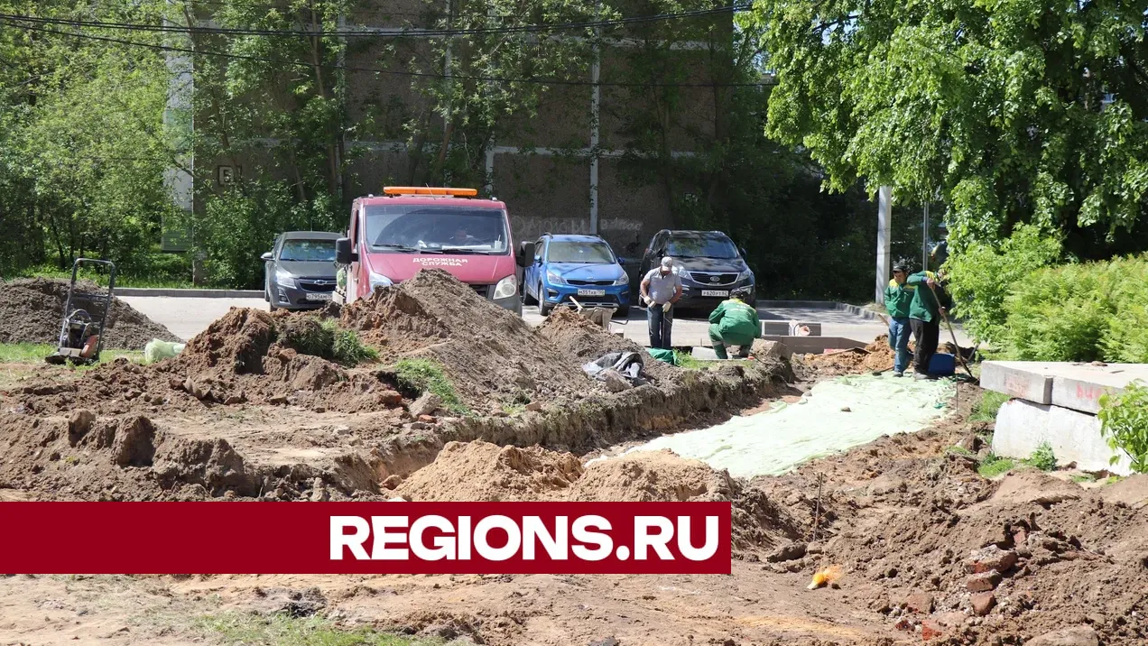 Фото: Василий Тремасов