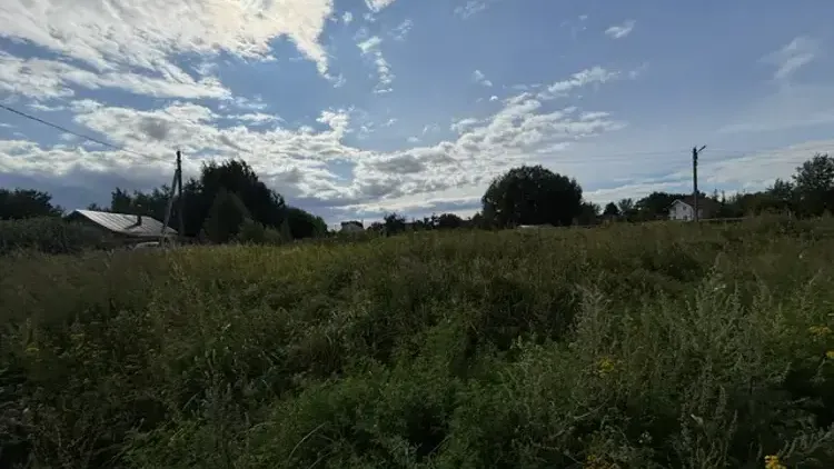 Участок на торгах в Подмосковье