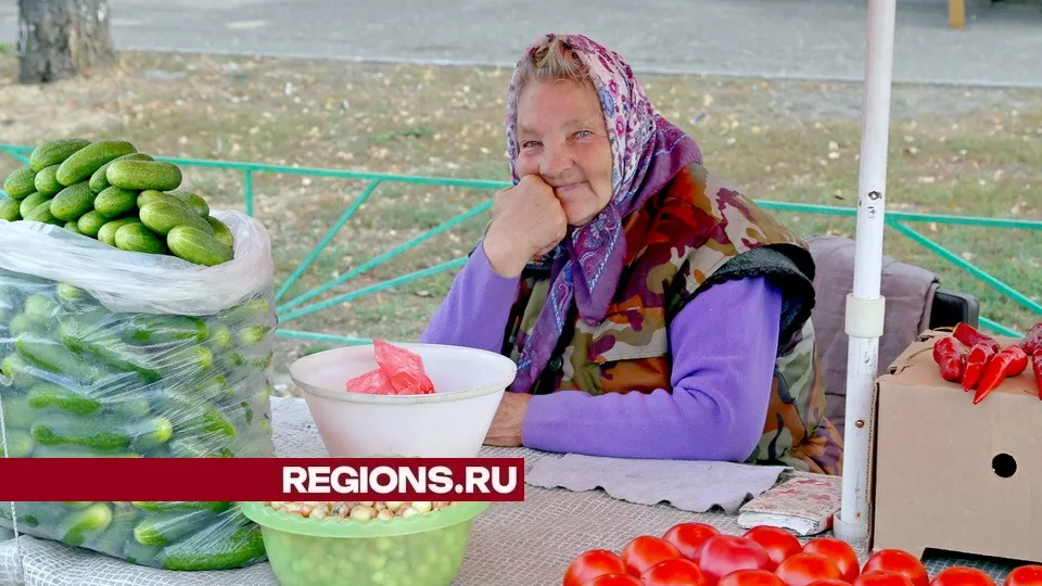 Фото: REGIONS/Александр Дрожжин