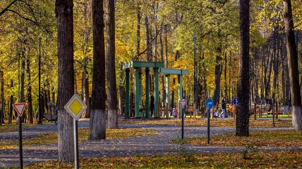 Фото: Раменский парк