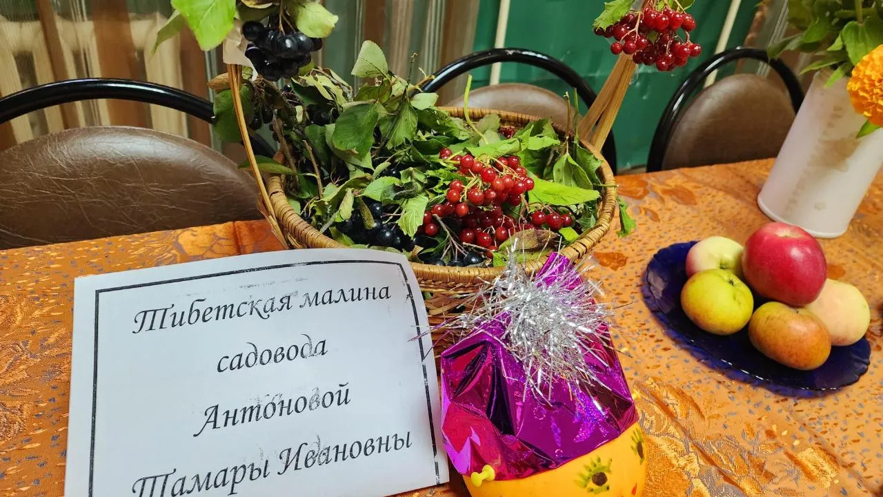 Картинка