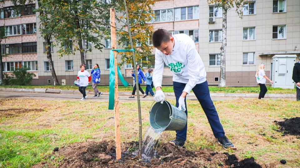 Фото: МедиаБанк Подмосковья/Данила Кирьянов