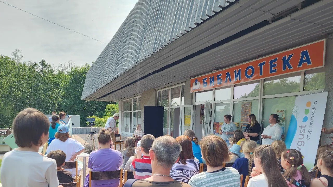 Картинка