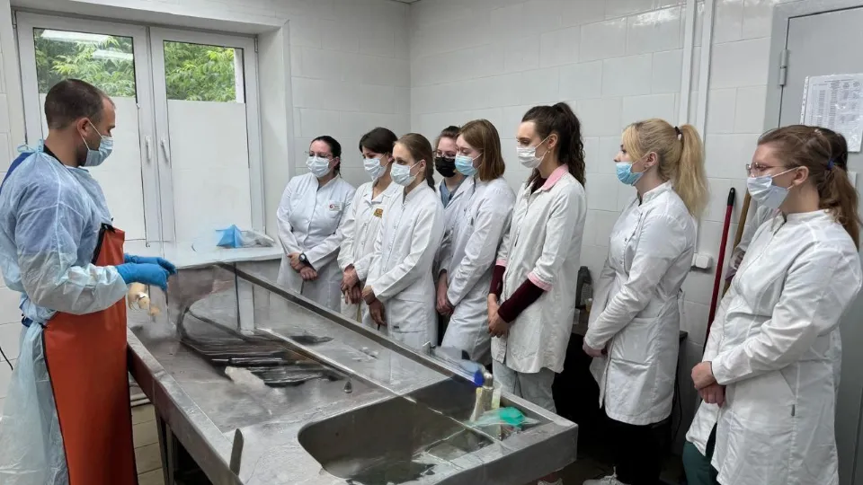 Фото: ГБУЗ МО «Ногинская больница»