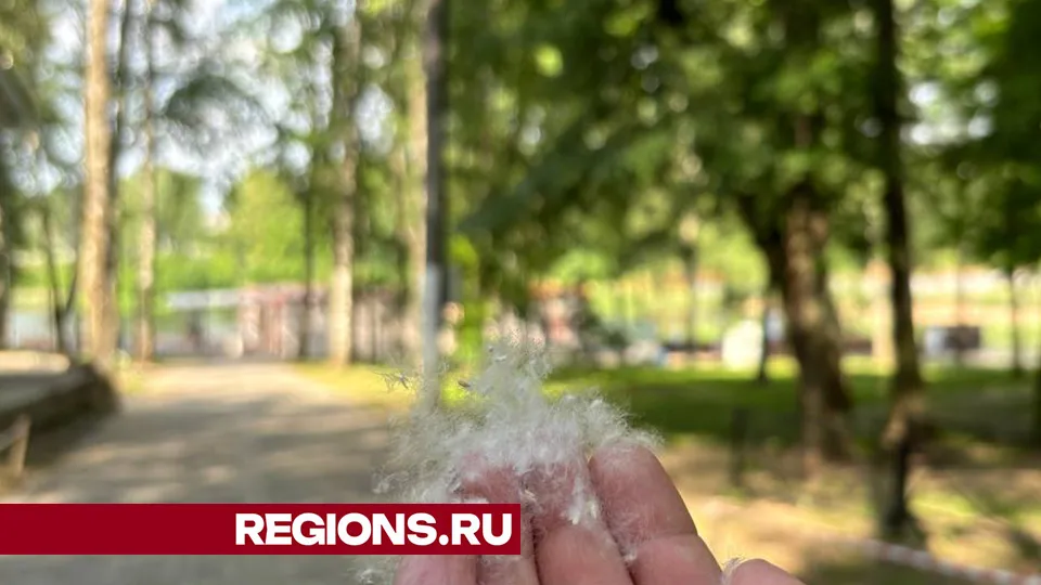 Фото: REGIONS