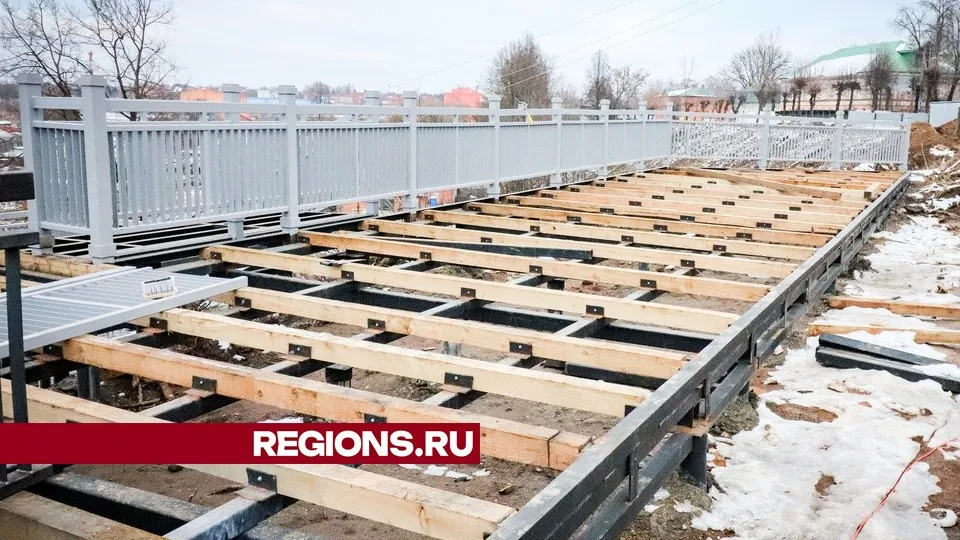 Фото: МедиаБанк Подмосковья/Данила Кирьянов