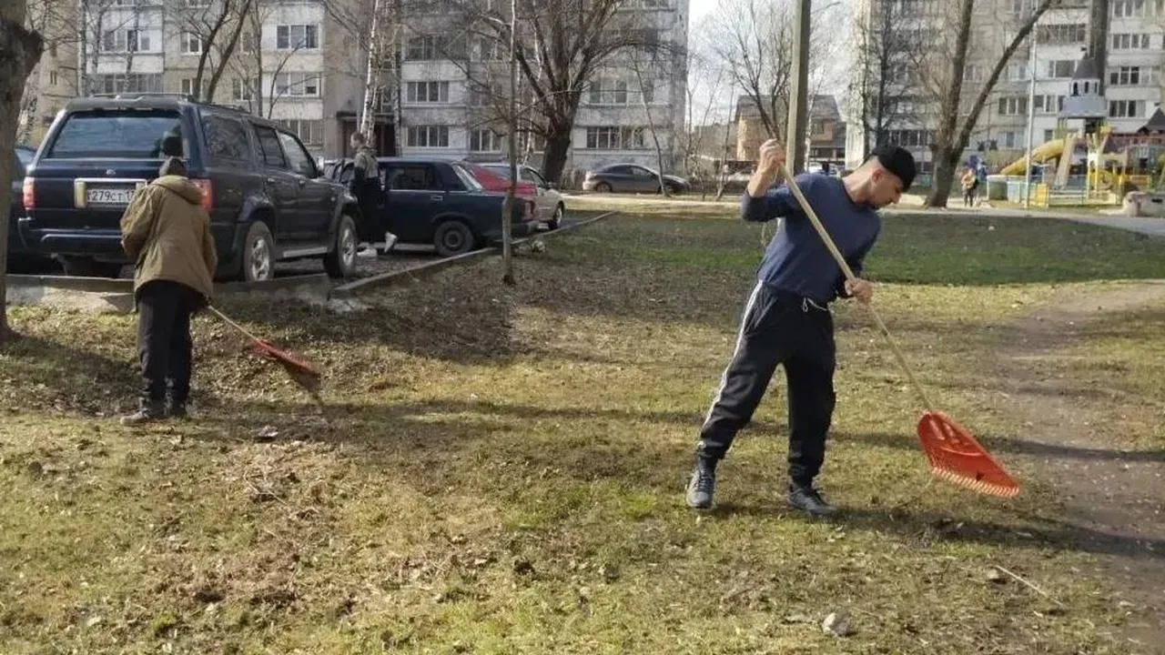Картинка