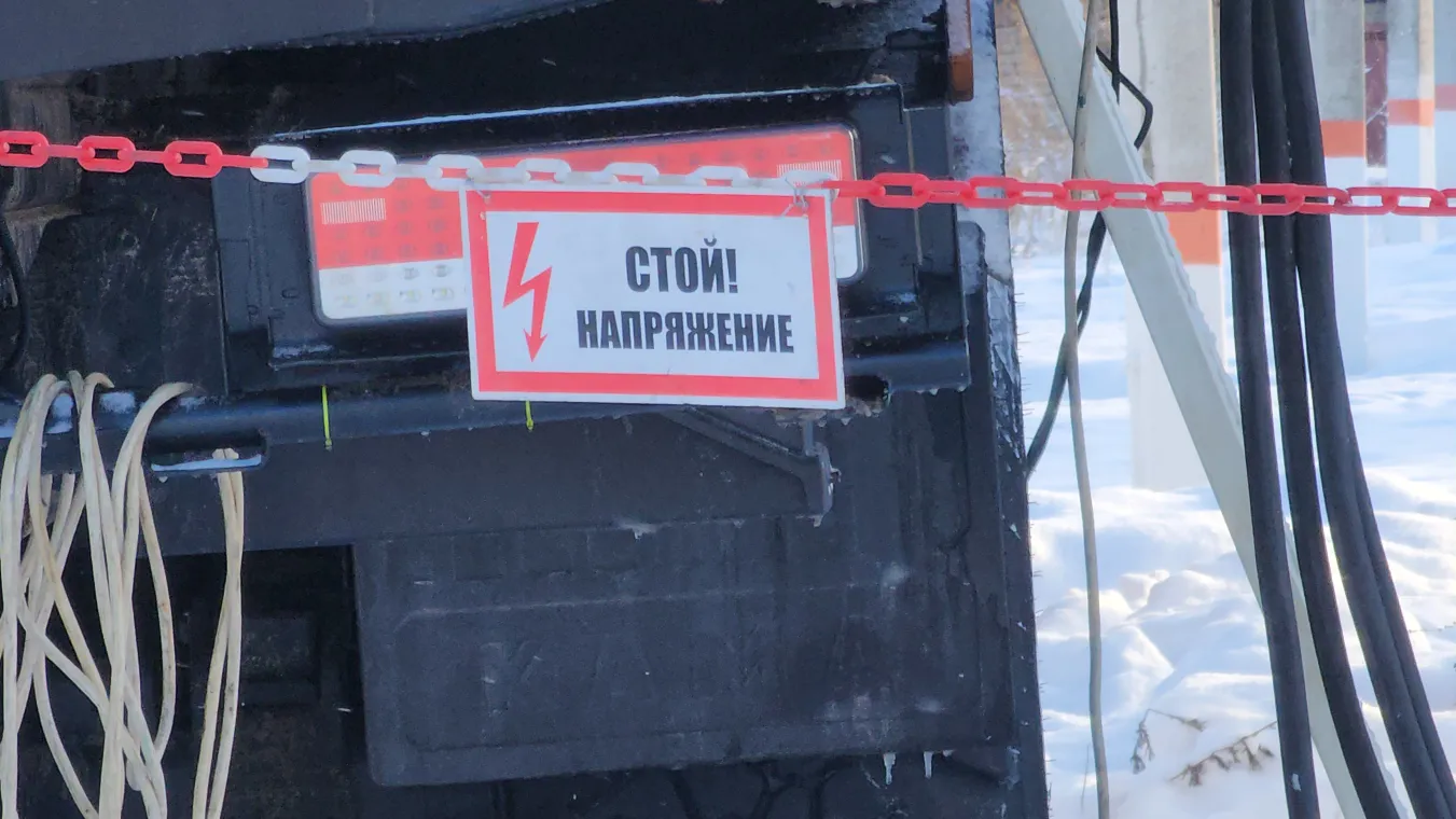 Фото: МедиаБанк Подмосковья/Алена Притула