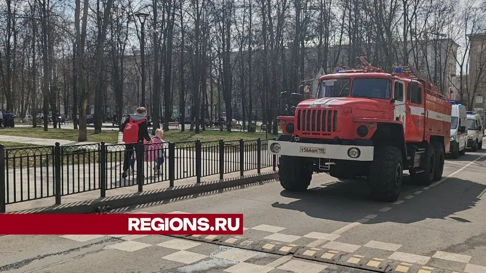 Фото: Георгий Козлов