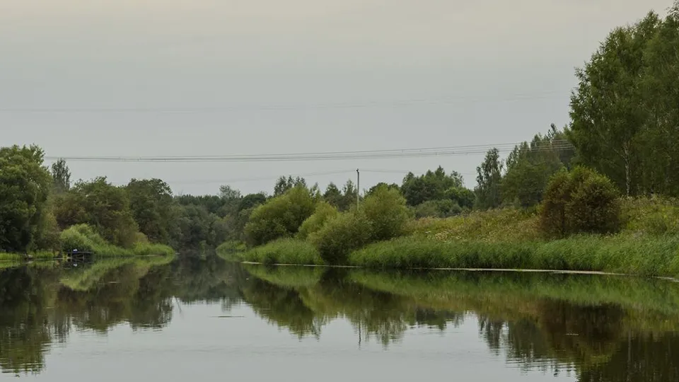 Фото: медиасток.рф